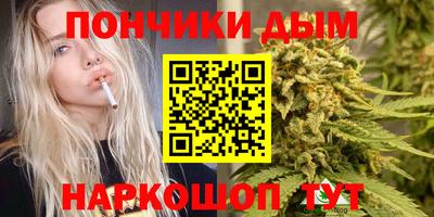 ECSTASY Гай