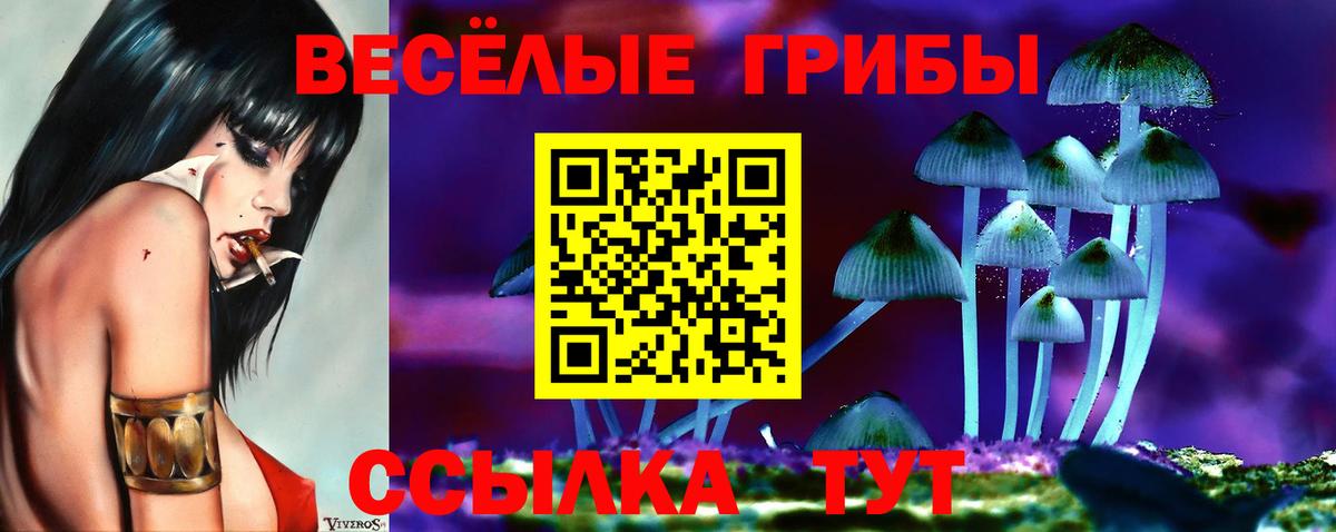 Галлюциногенные грибы Cubensis  Вход с VPN  Людиново 